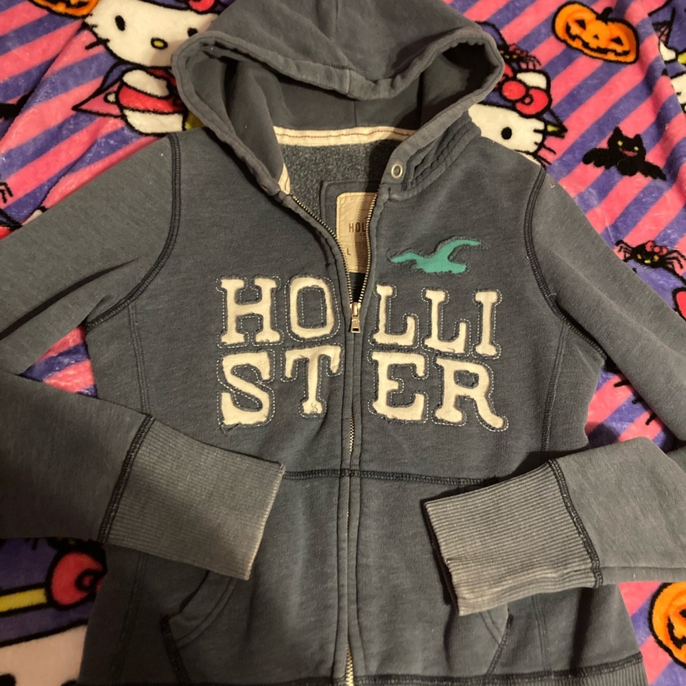 Vintage Hollister Hoodie